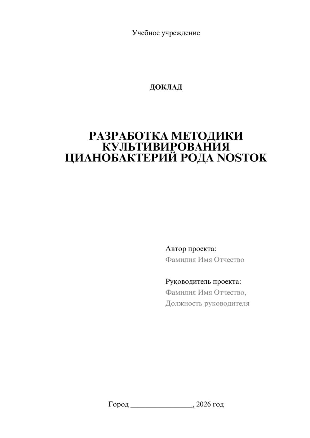 Предпросмотр доклада 1