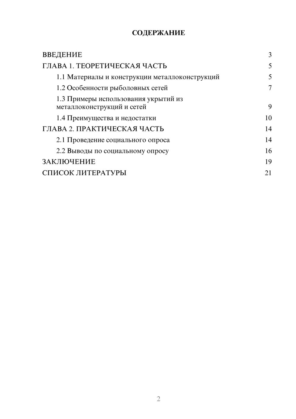 Предпросмотр проекта 2