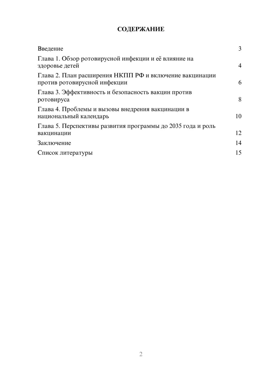 Предпросмотр доклада 2