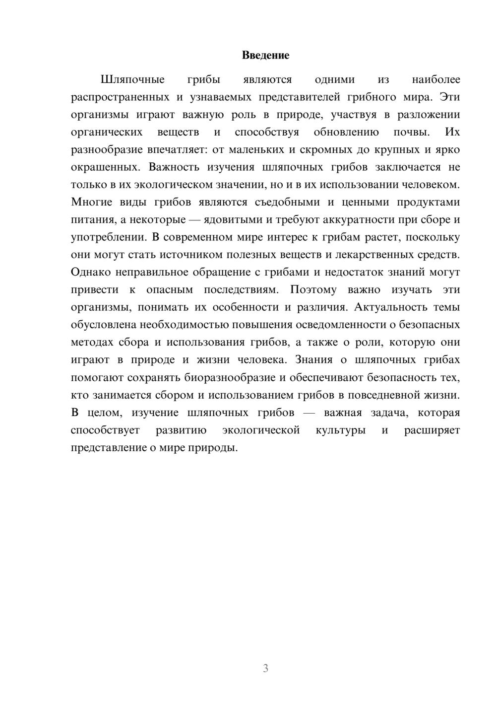 Предпросмотр доклада 3