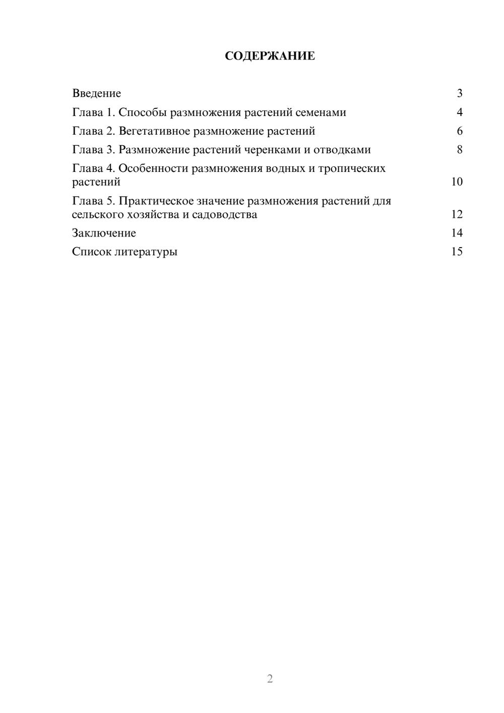 Предпросмотр доклада 2
