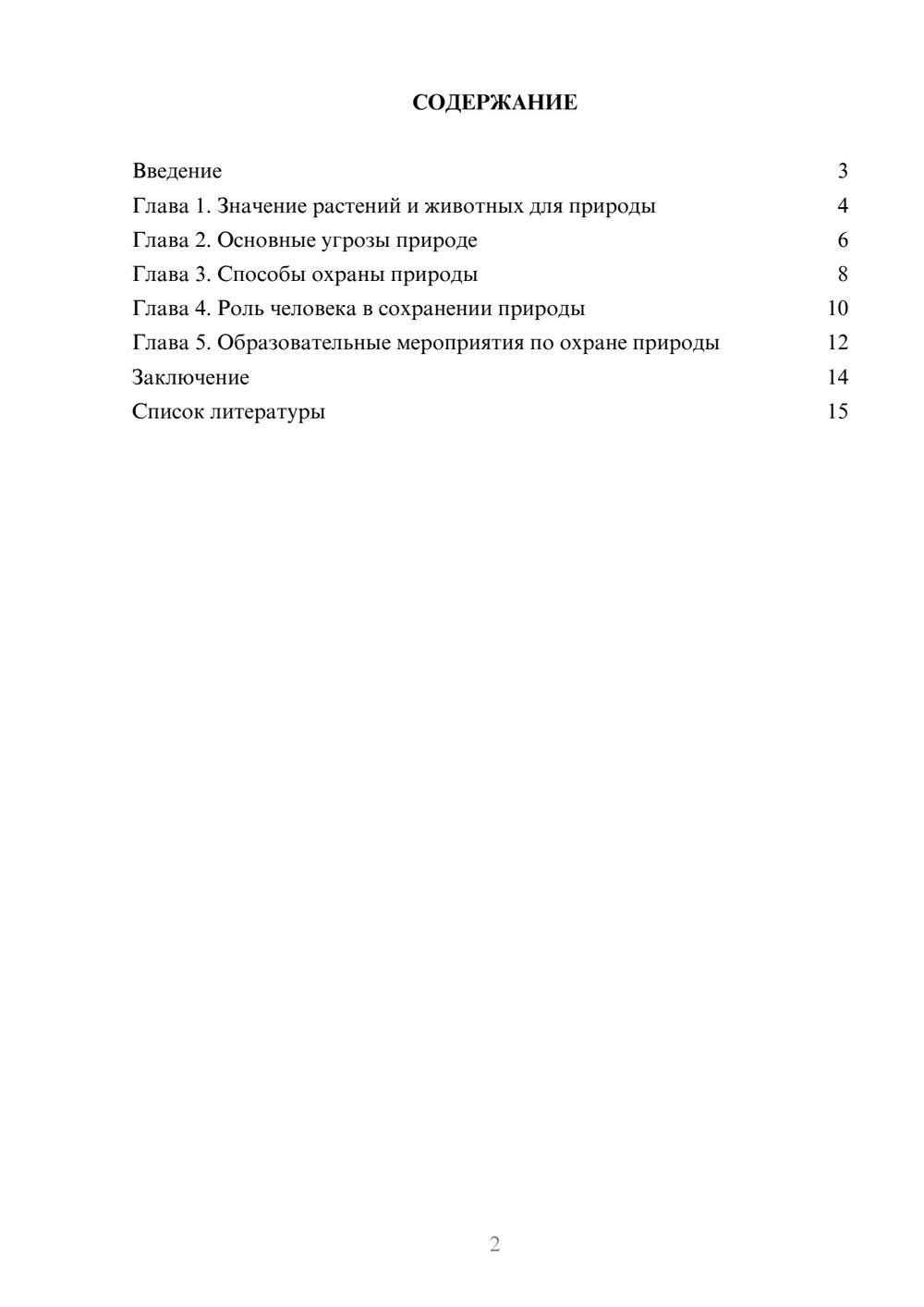 Предпросмотр доклада 2
