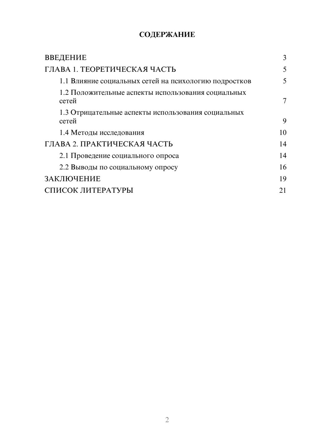 Предпросмотр проекта 2