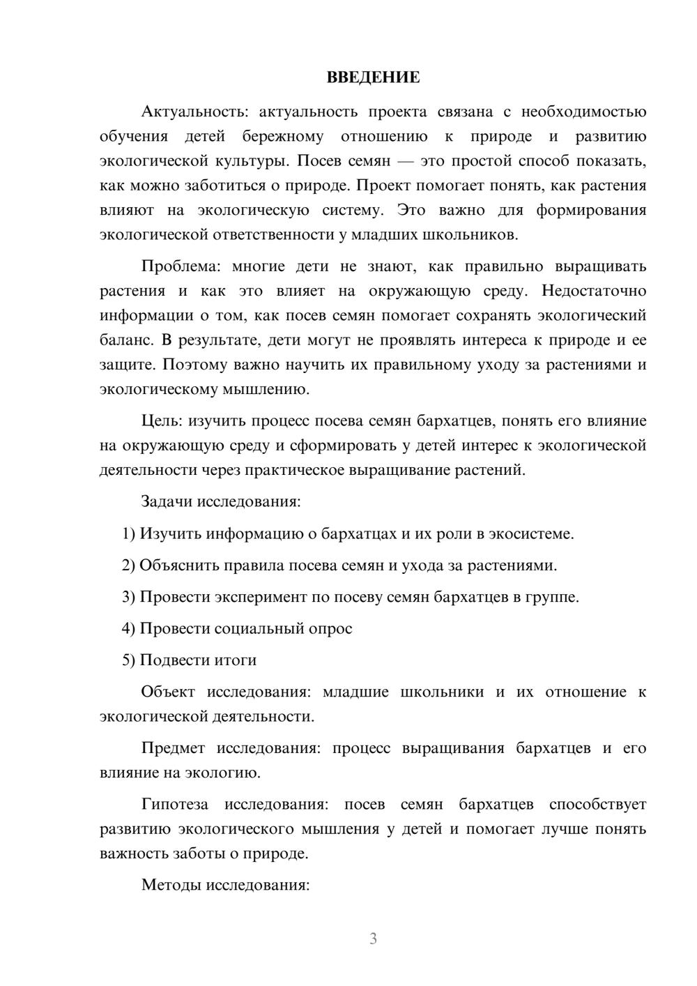 Предпросмотр проекта 3