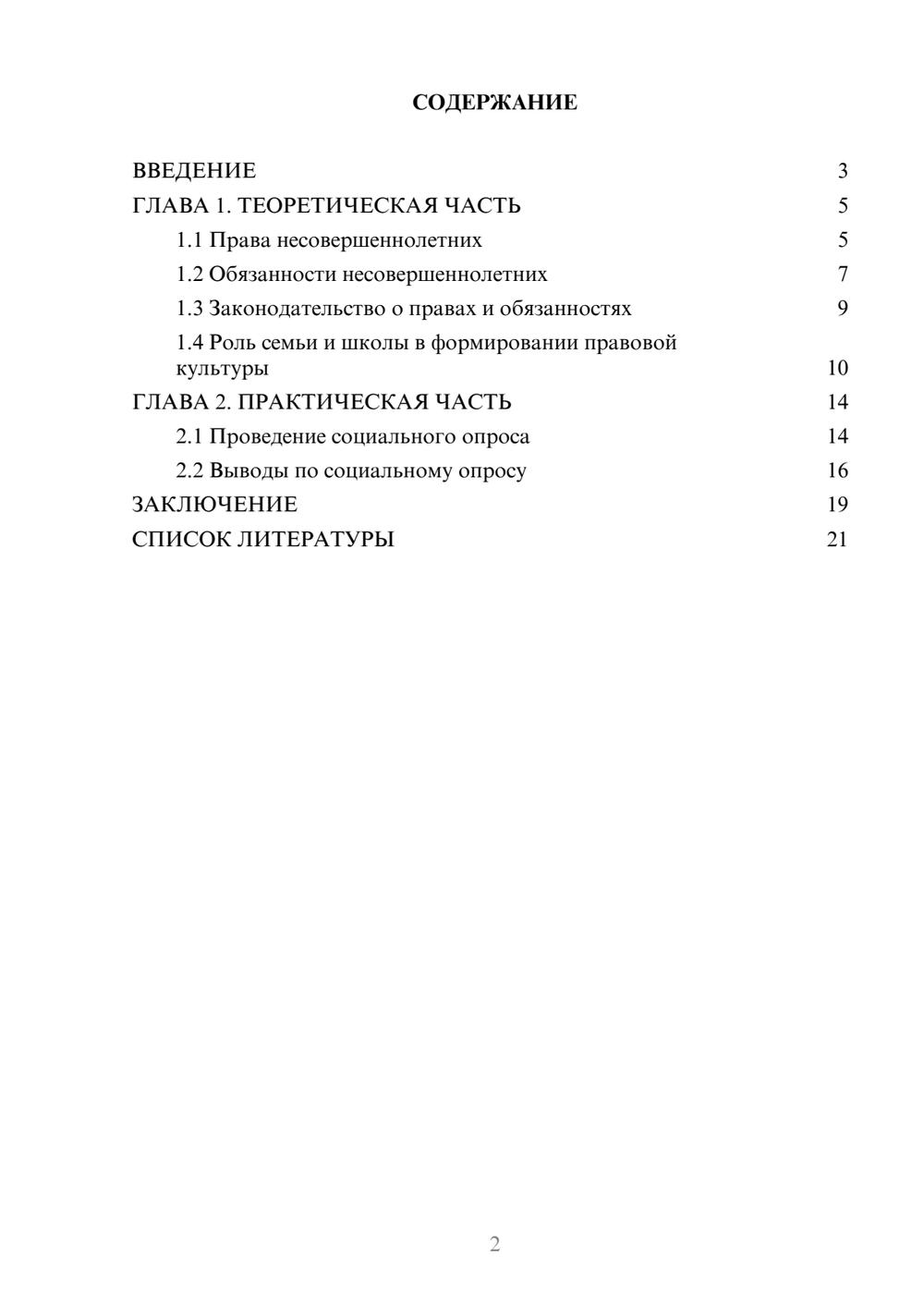 Предпросмотр проекта 2