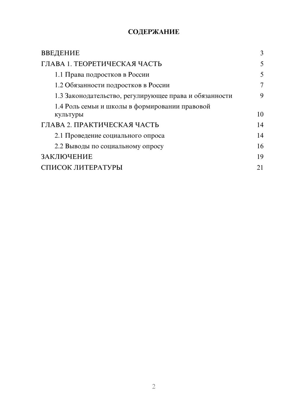 Предпросмотр проекта 2