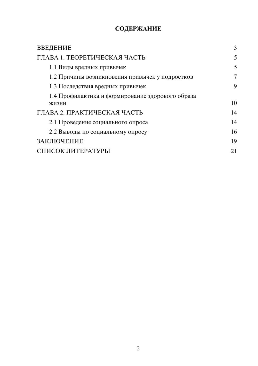 Предпросмотр проекта 2