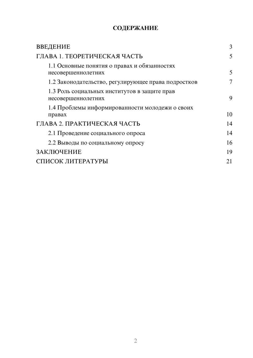 Предпросмотр проекта 2
