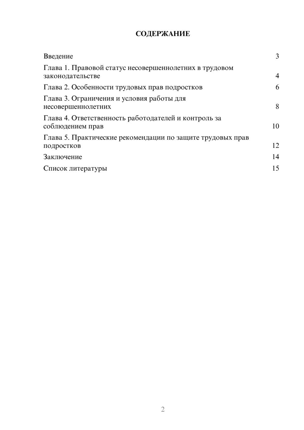 Предпросмотр доклада 2