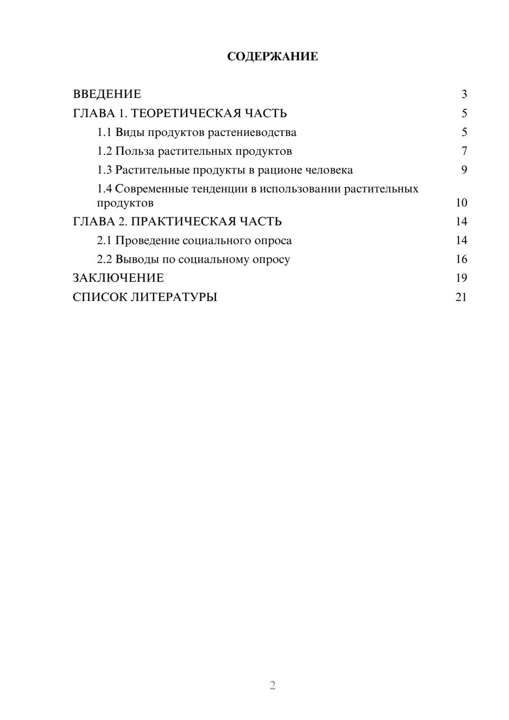 Предпросмотр проекта 2