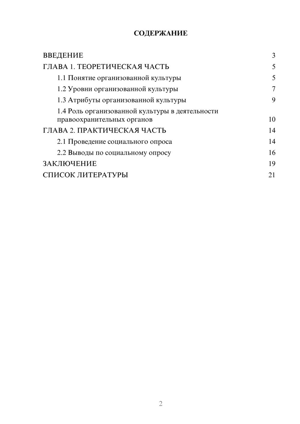 Предпросмотр проекта 2