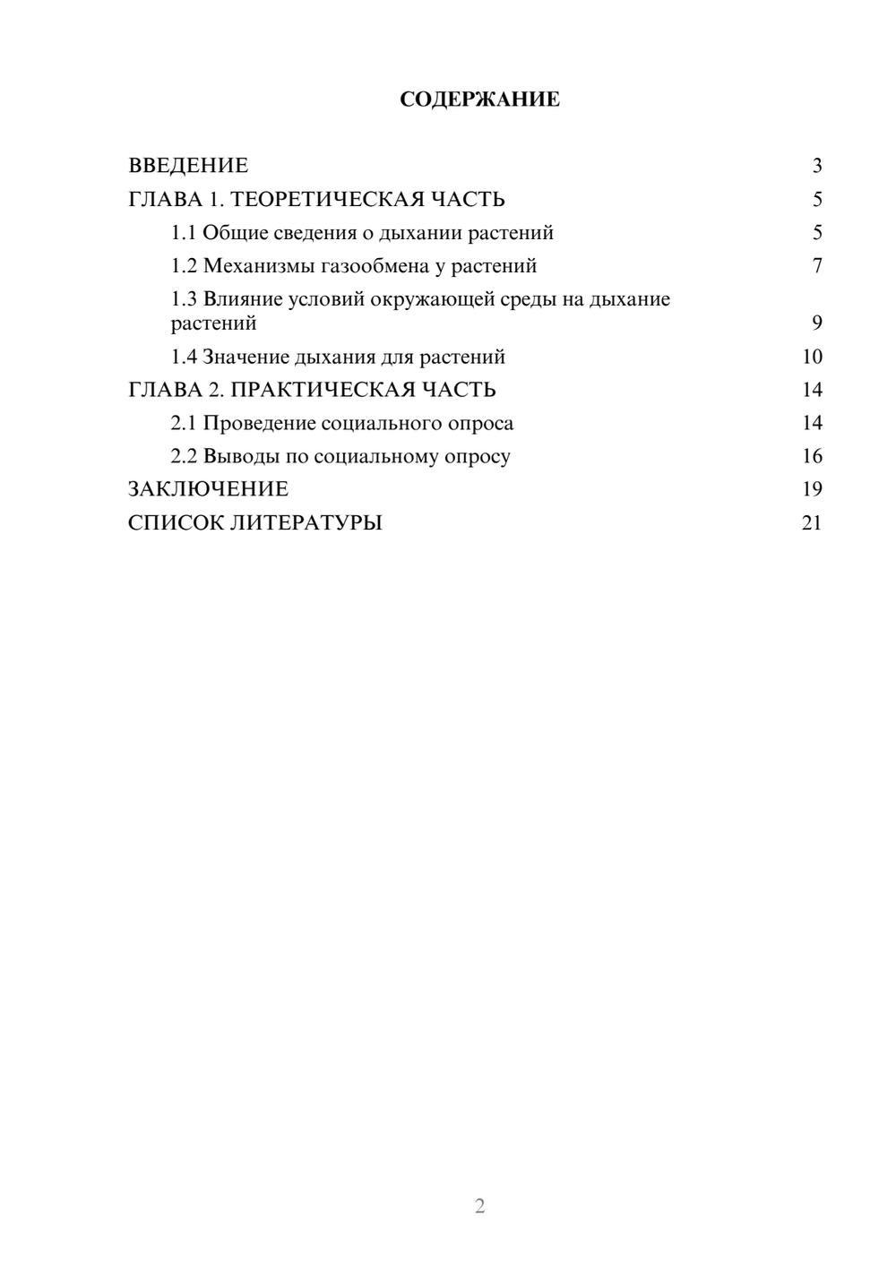 Предпросмотр проекта 2
