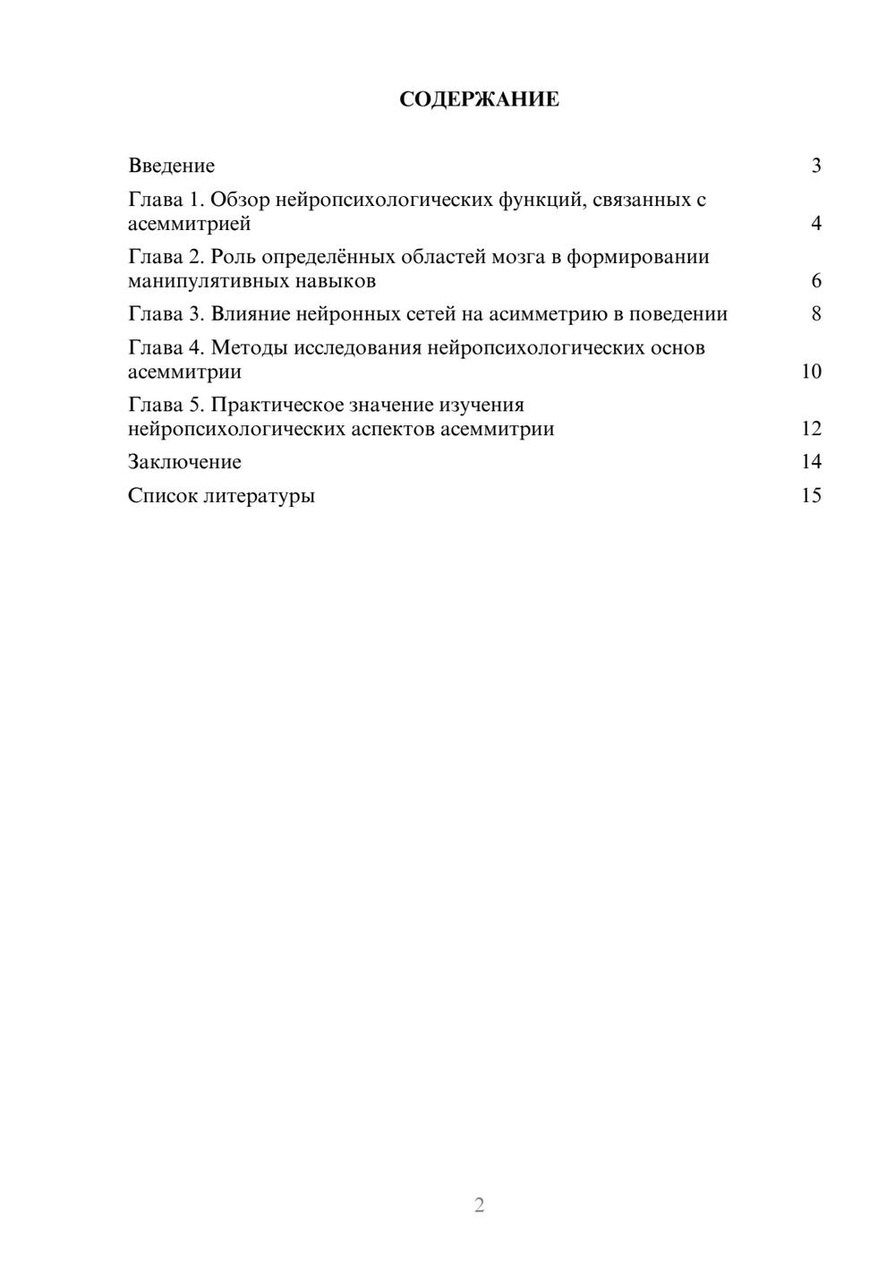 Предпросмотр доклада 2
