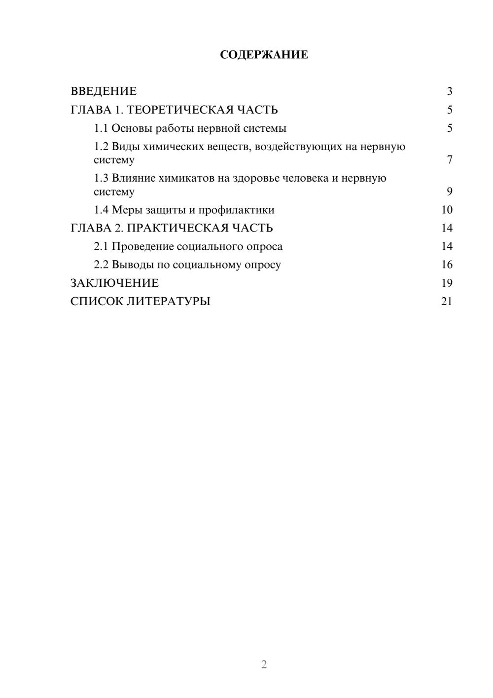 Предпросмотр проекта 2