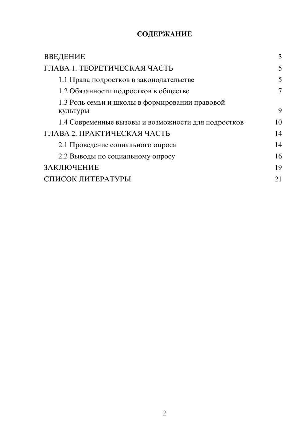 Предпросмотр проекта 2