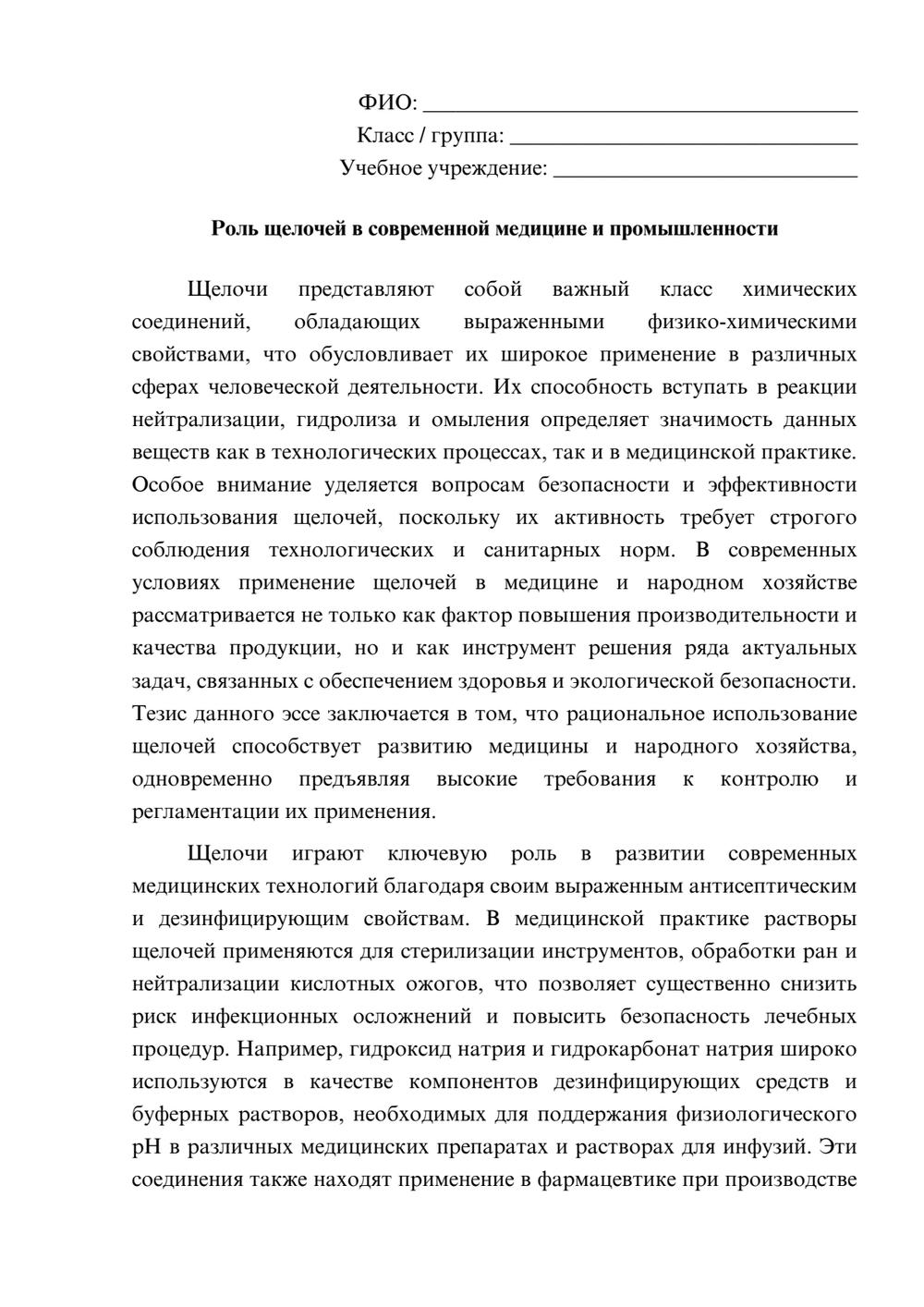 Предпросмотр эссе 1