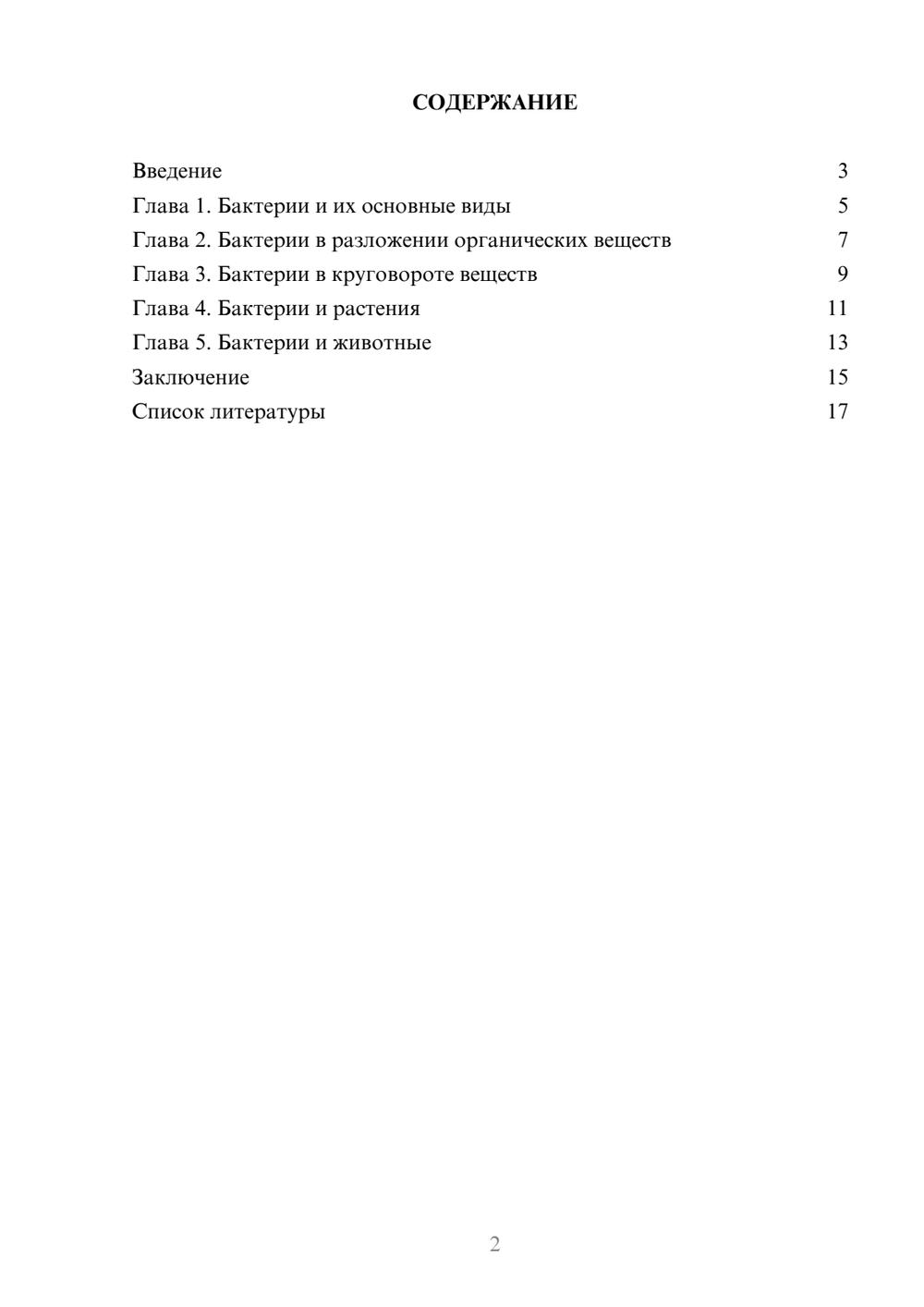 Предпросмотр доклада 2