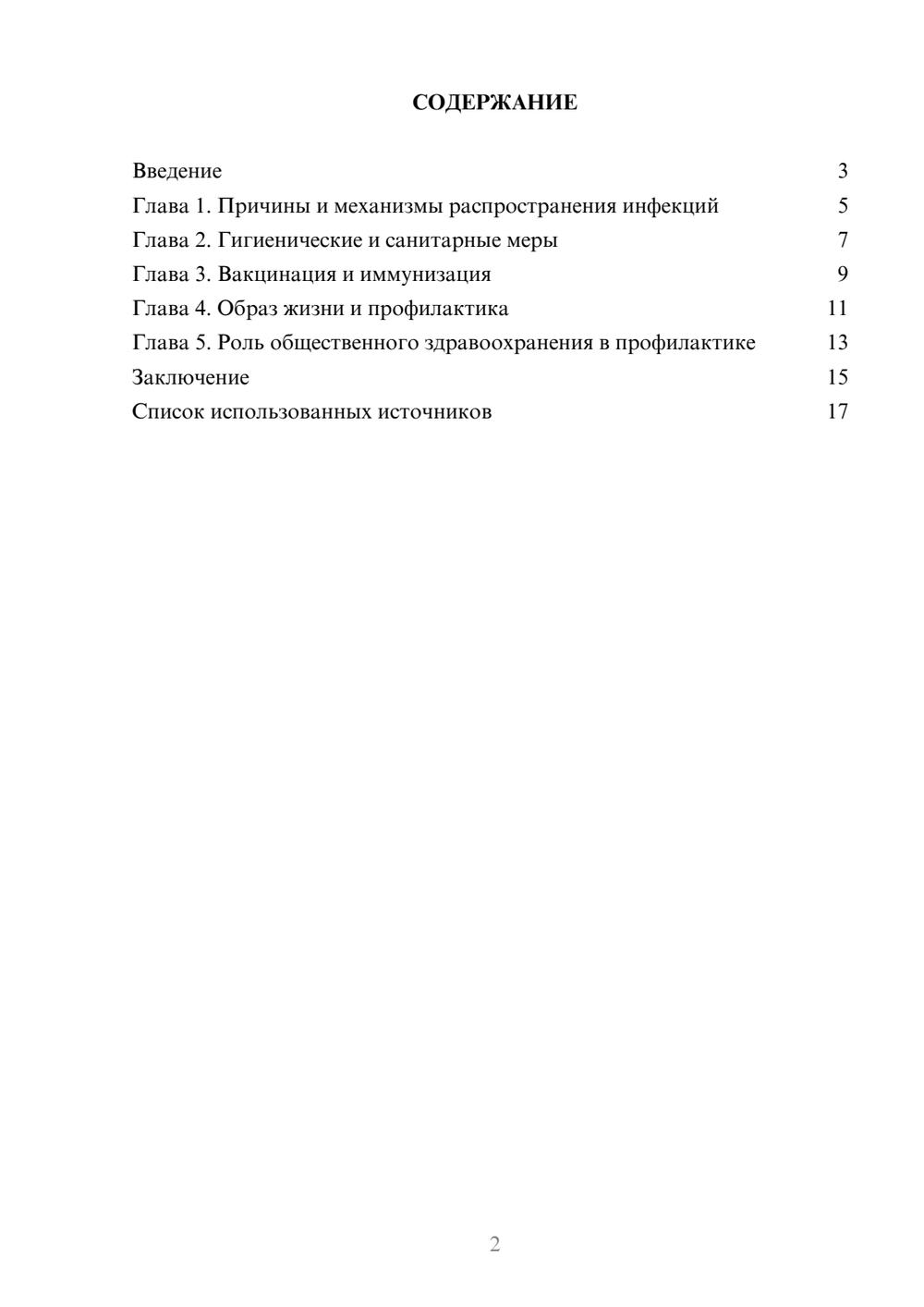 Предпросмотр реферата 2