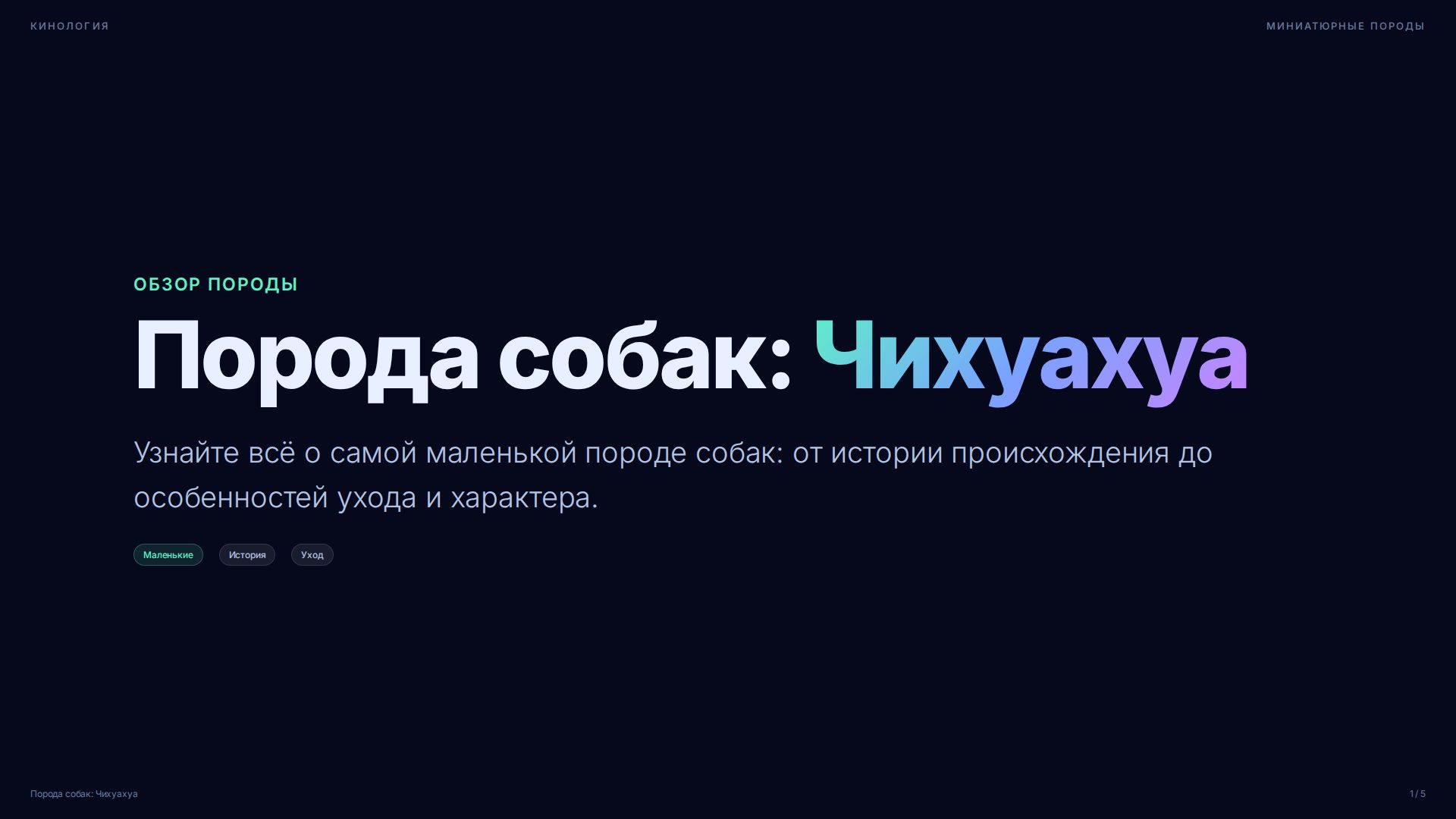 Слайд 1