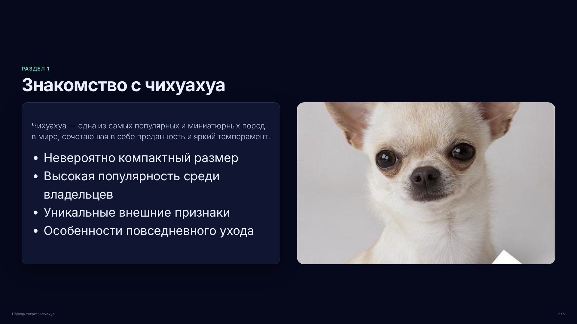 Слайд 3