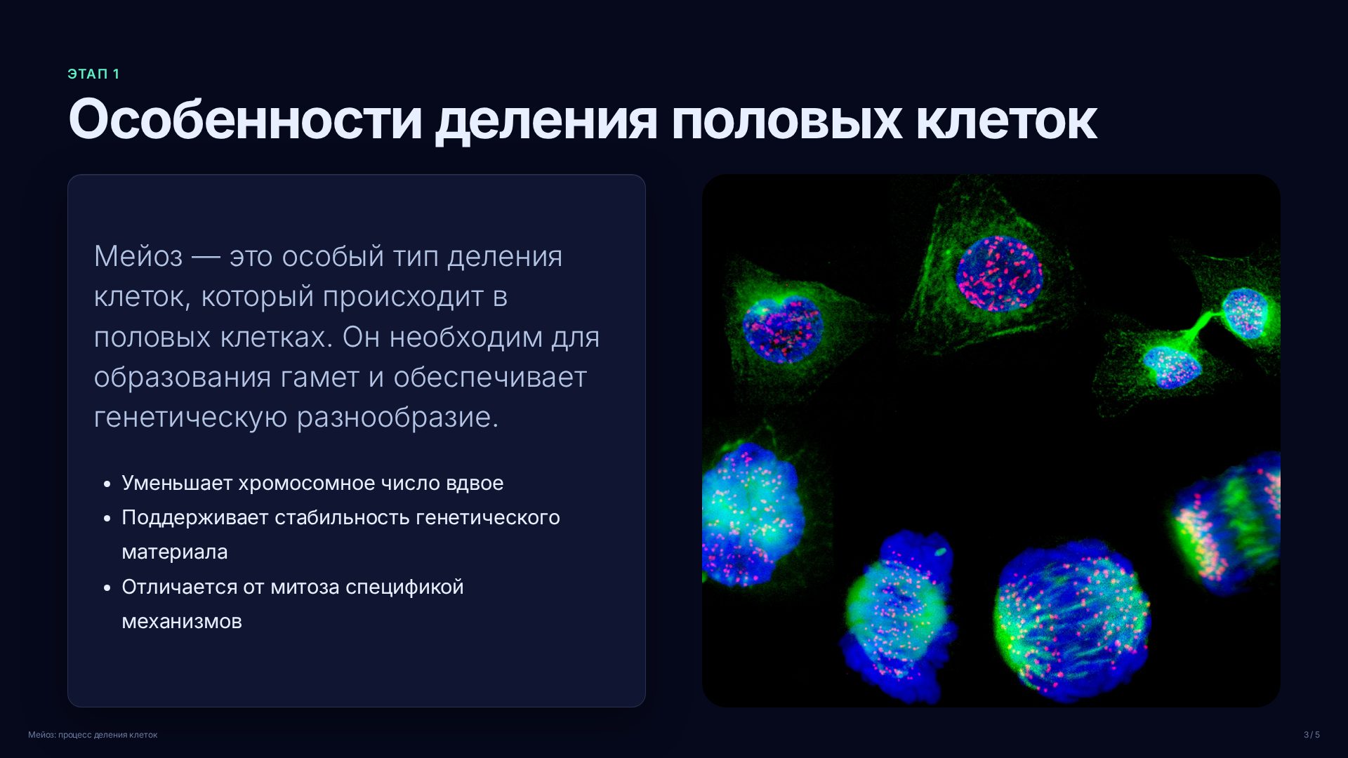 Слайд 3