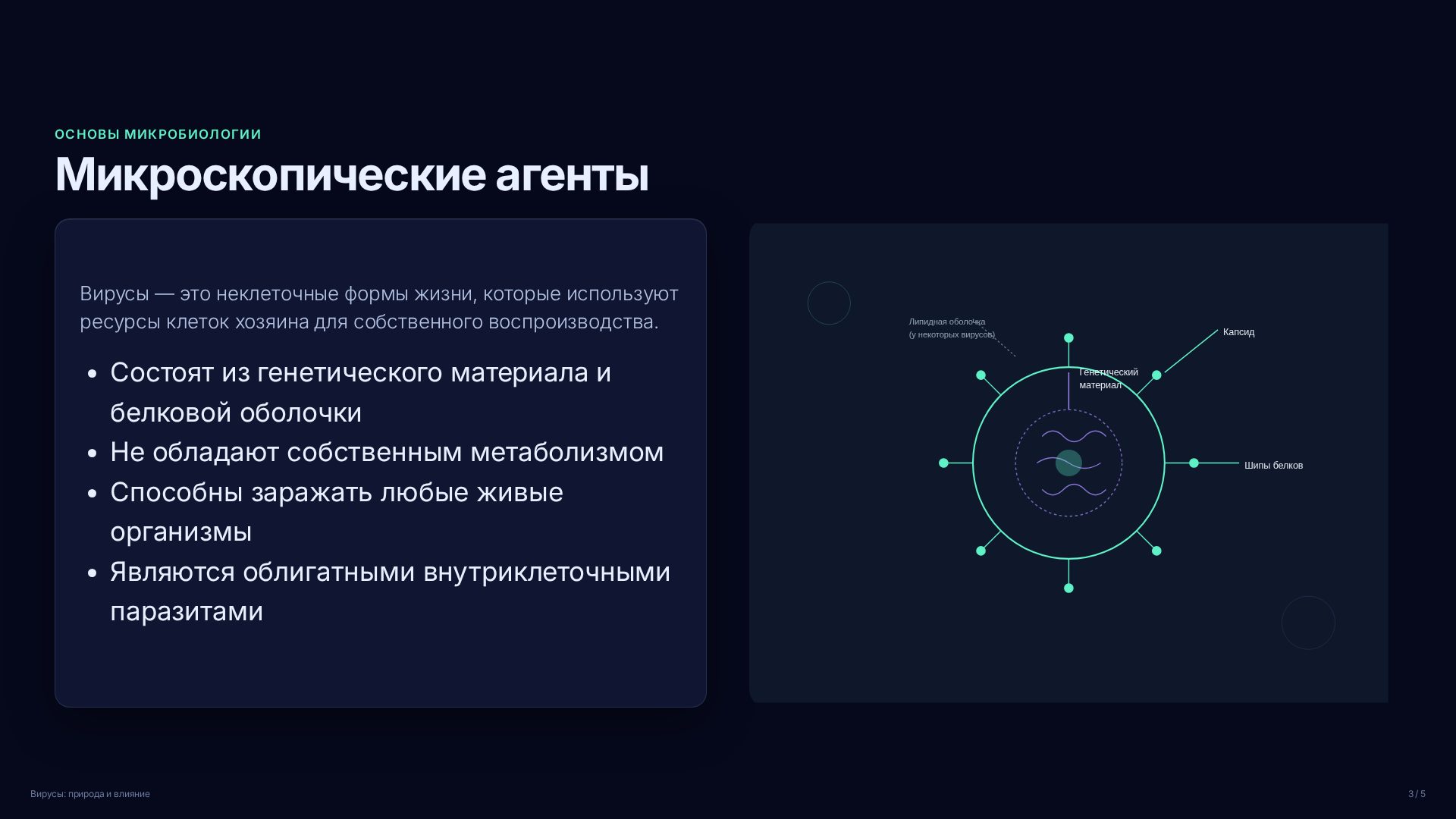 Слайд 3