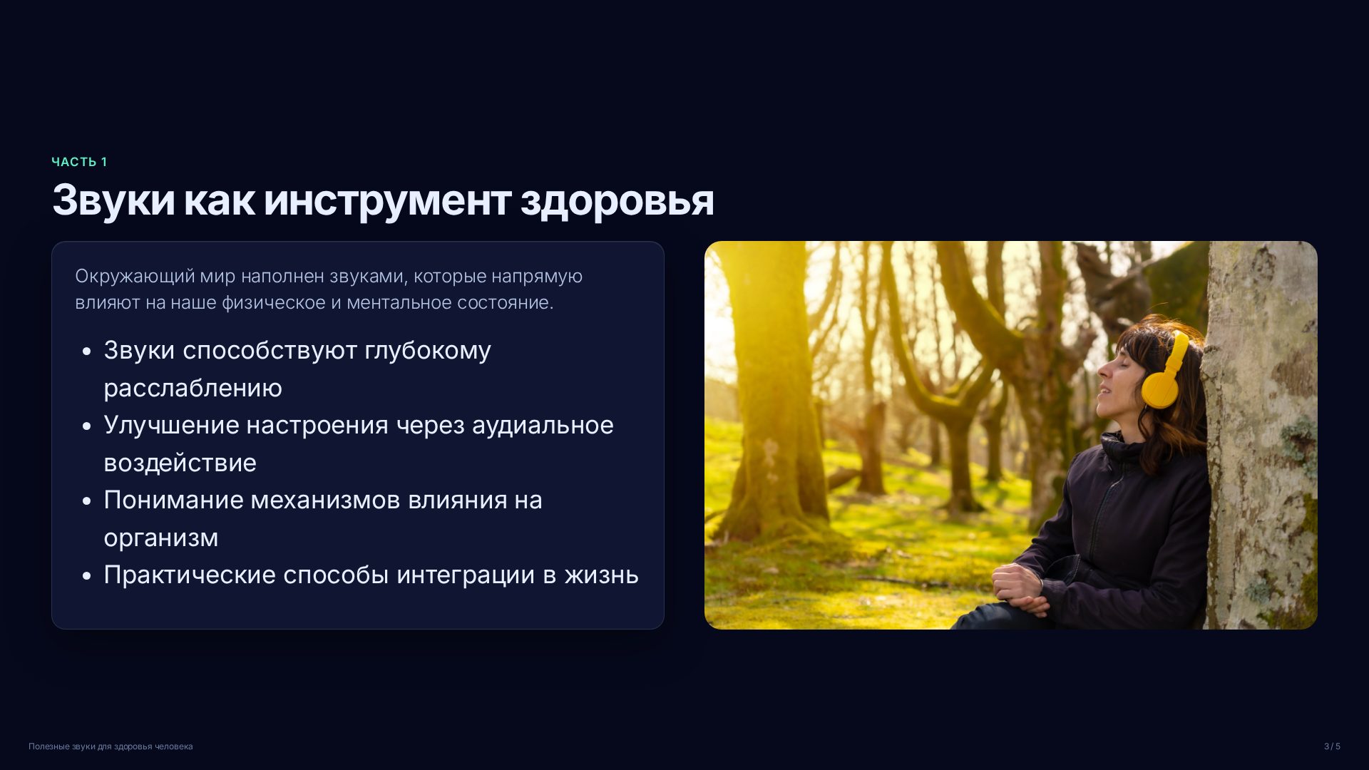 Слайд 3