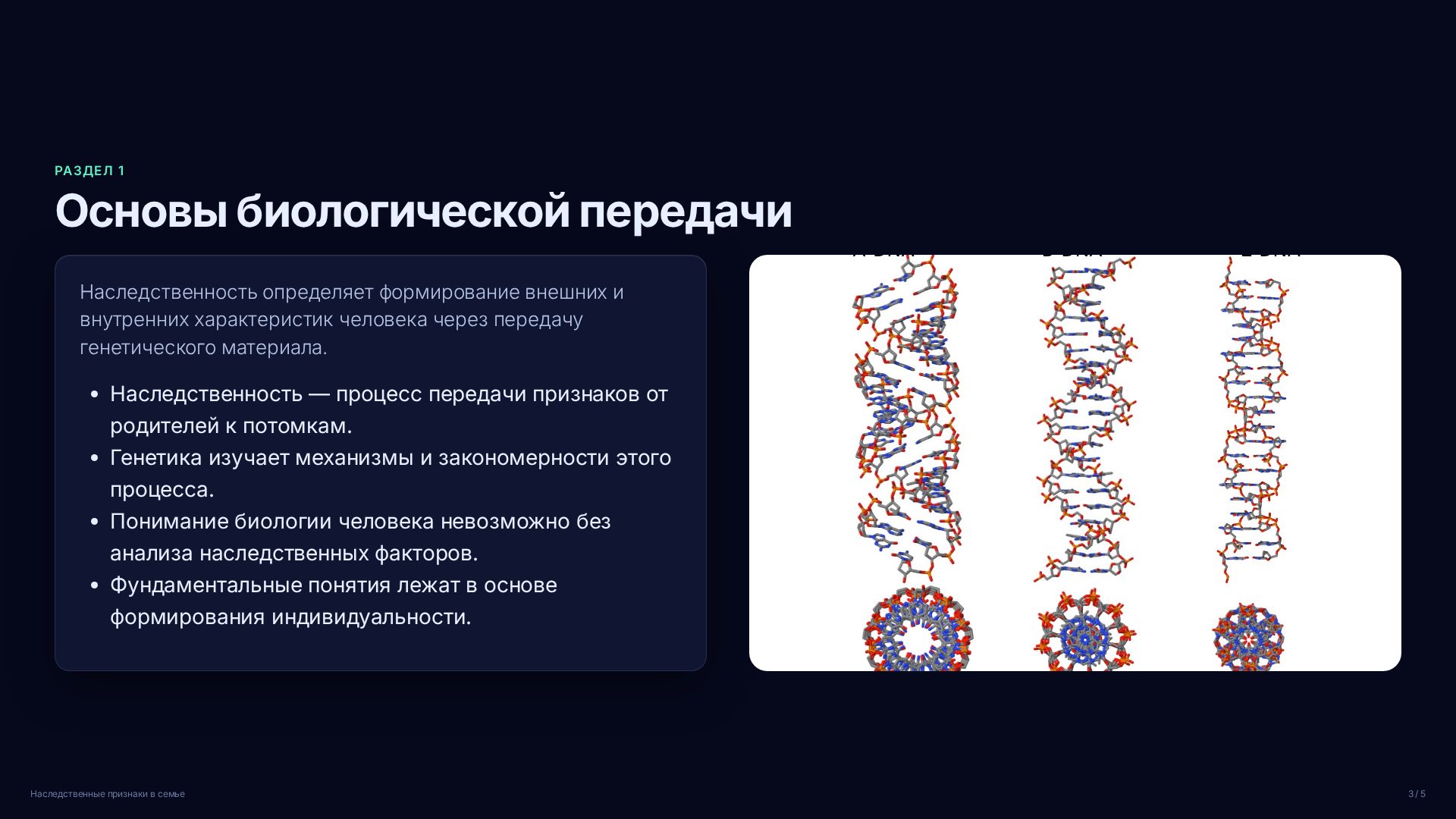 Слайд 3