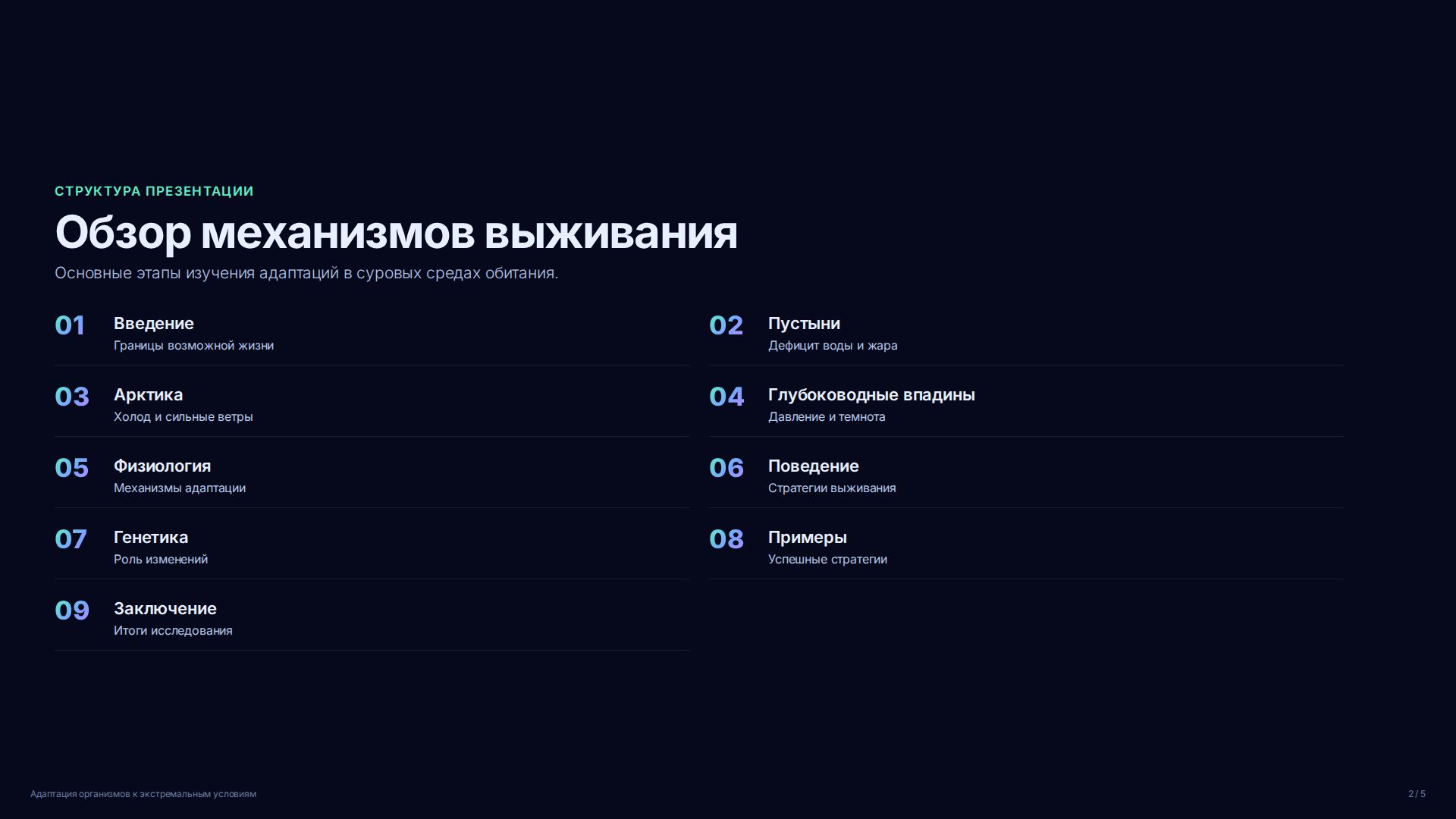 Слайд 2