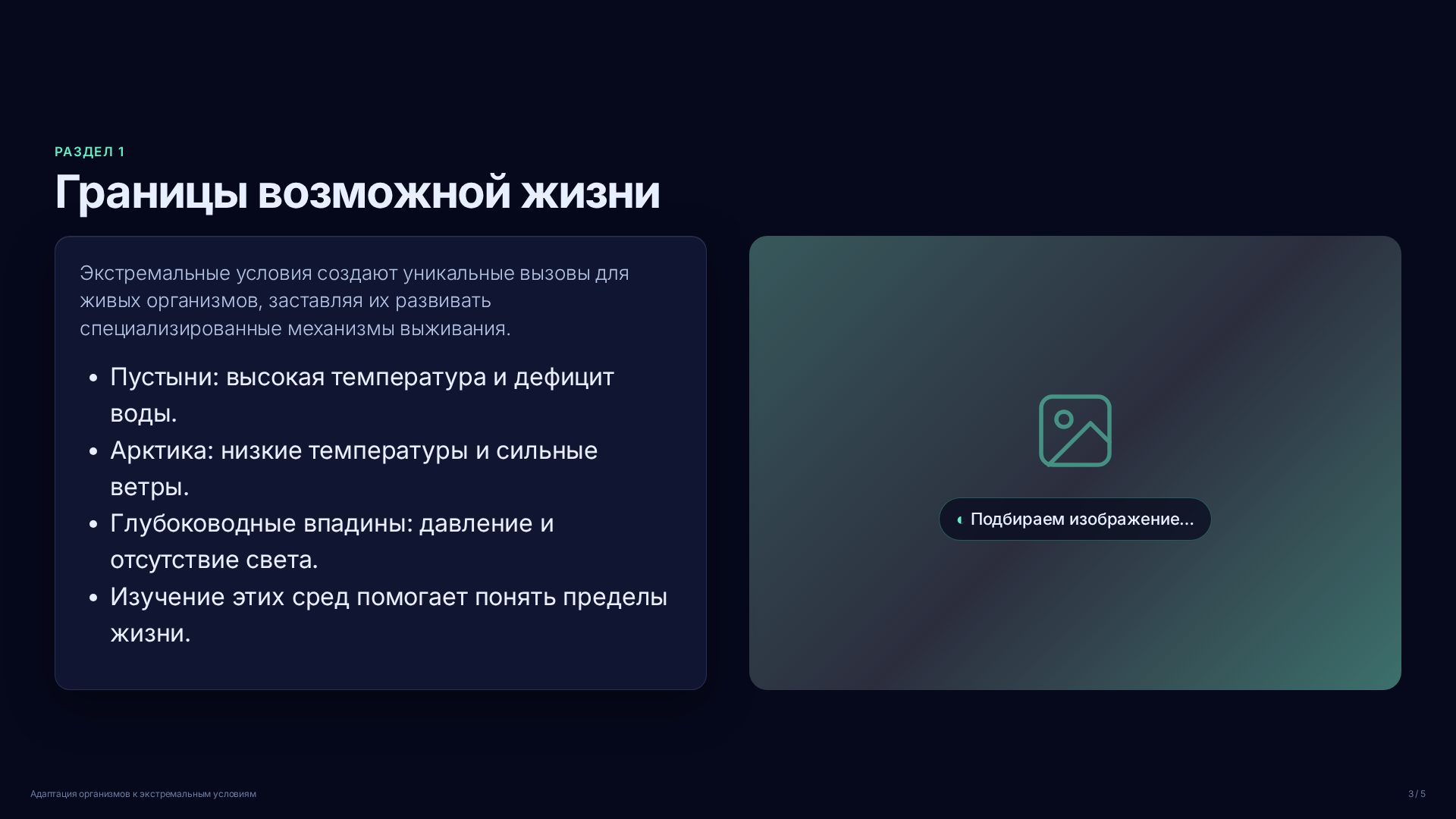 Слайд 3
