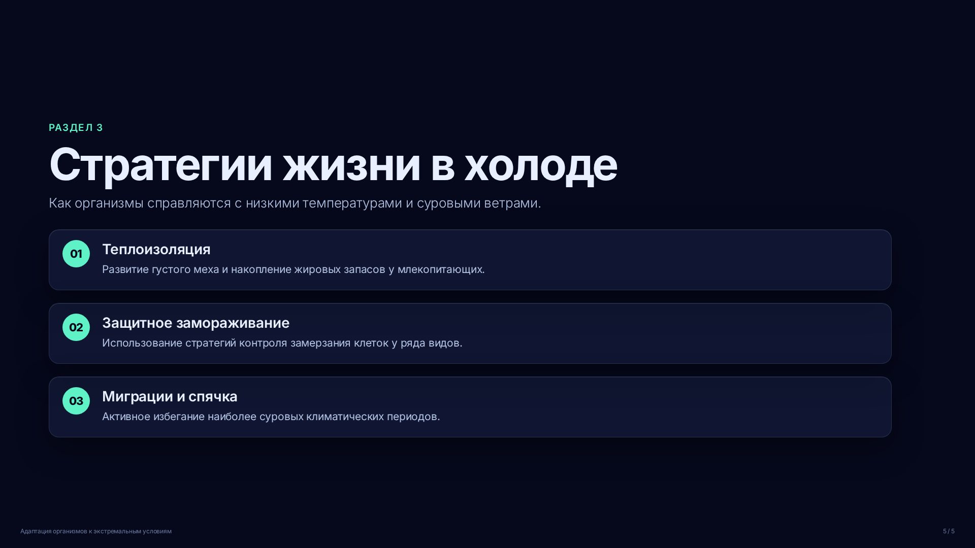 Слайд (заблокировано)