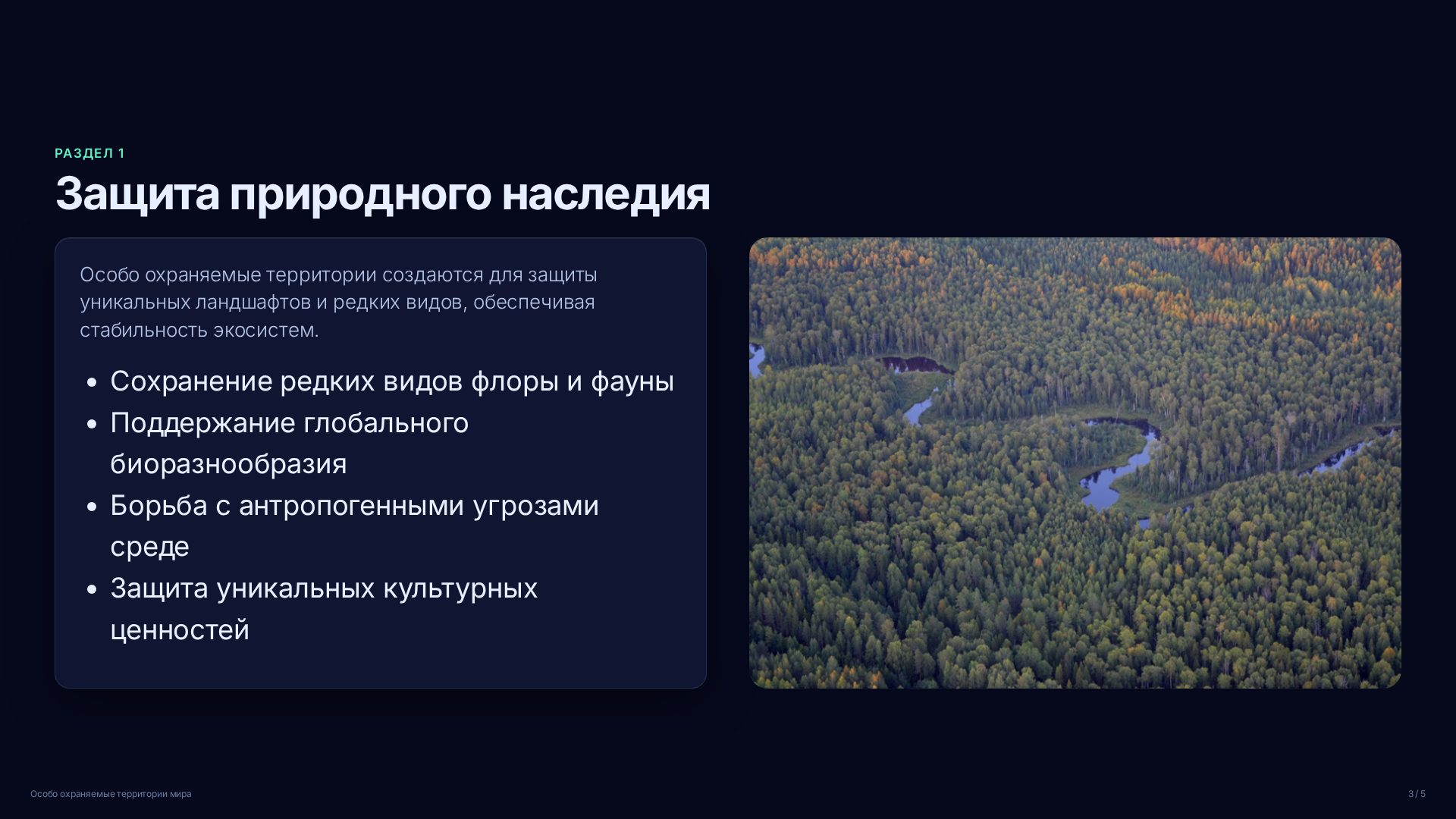 Слайд 3