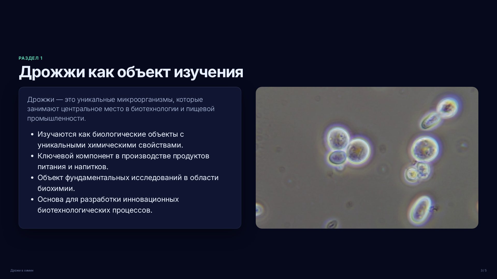 Слайд 3