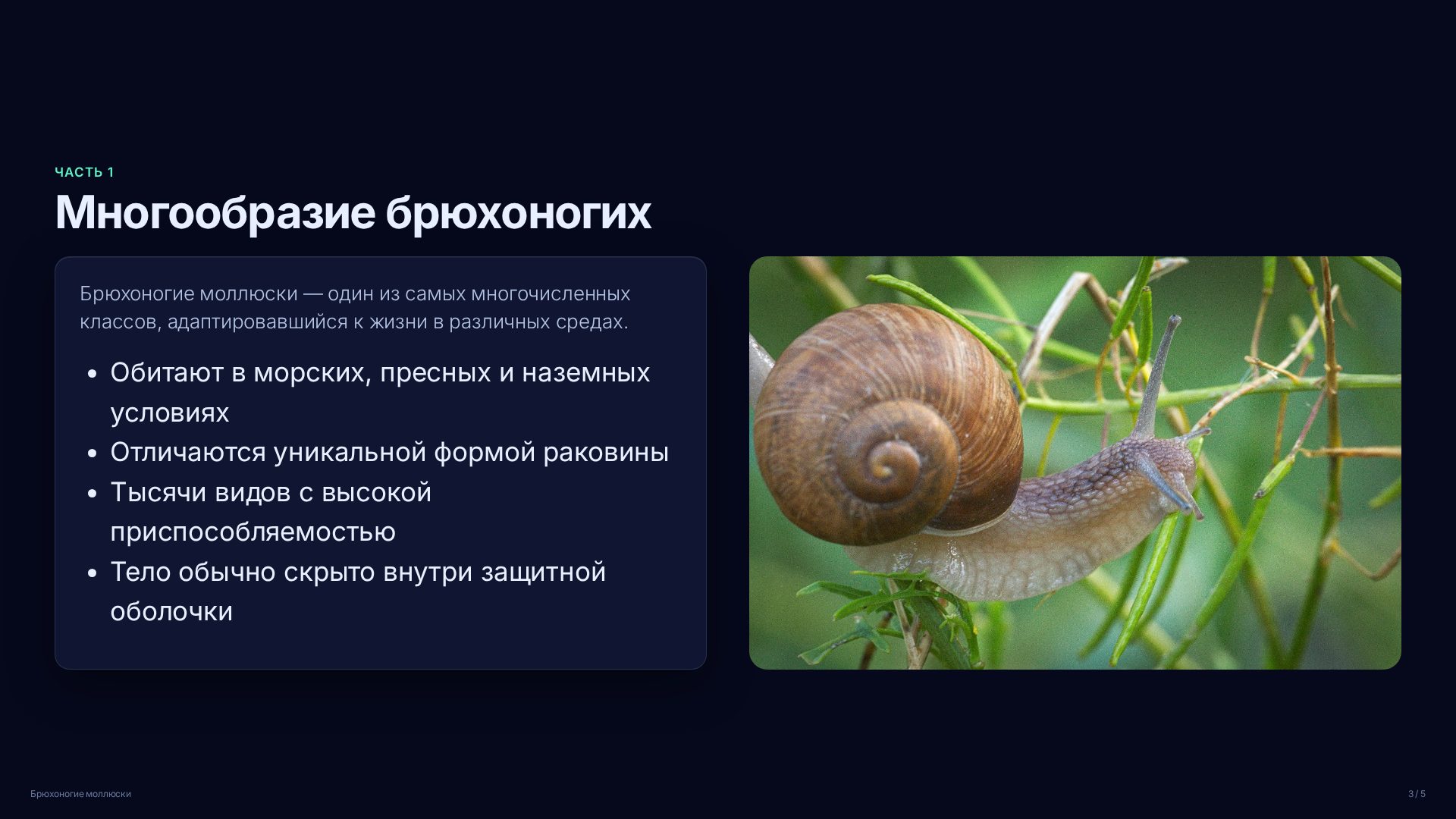Слайд 3