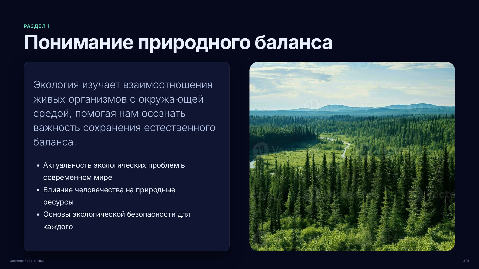 Слайд 3