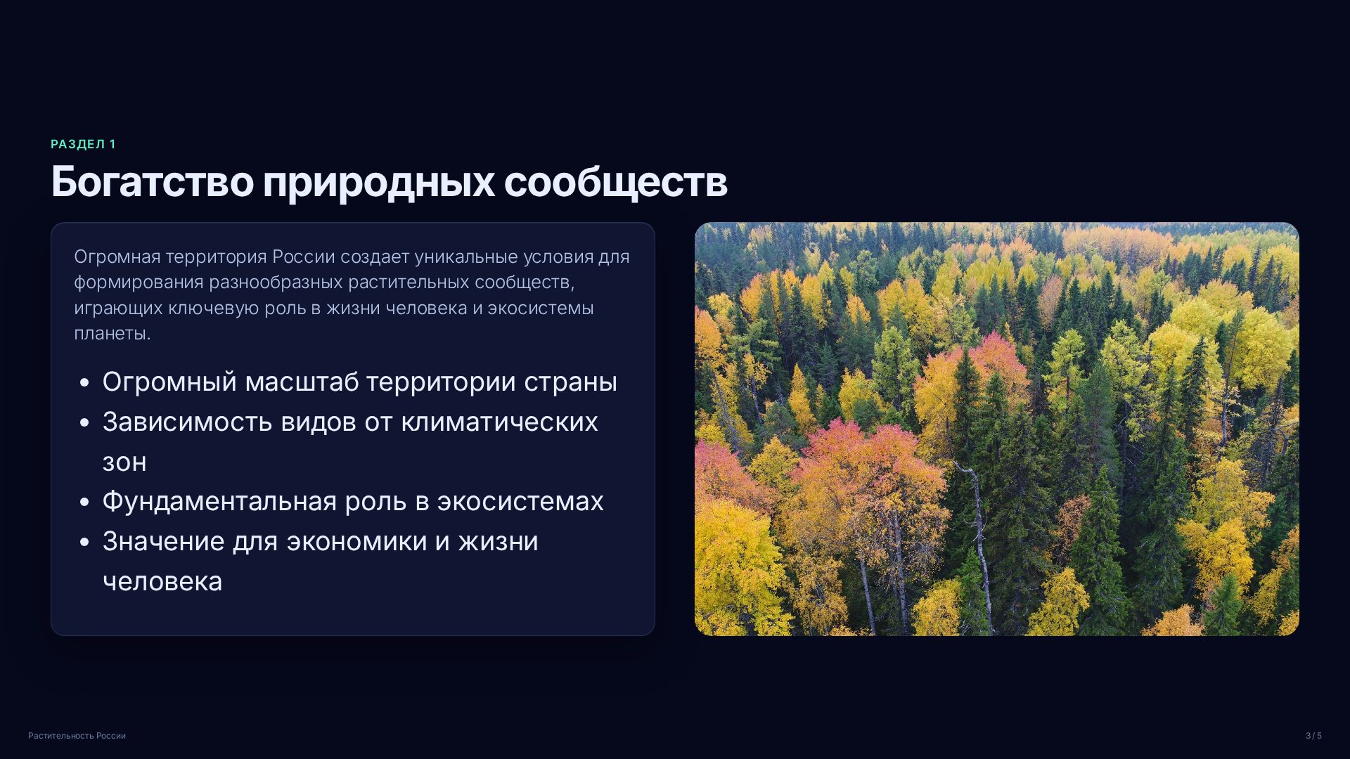 Слайд 3