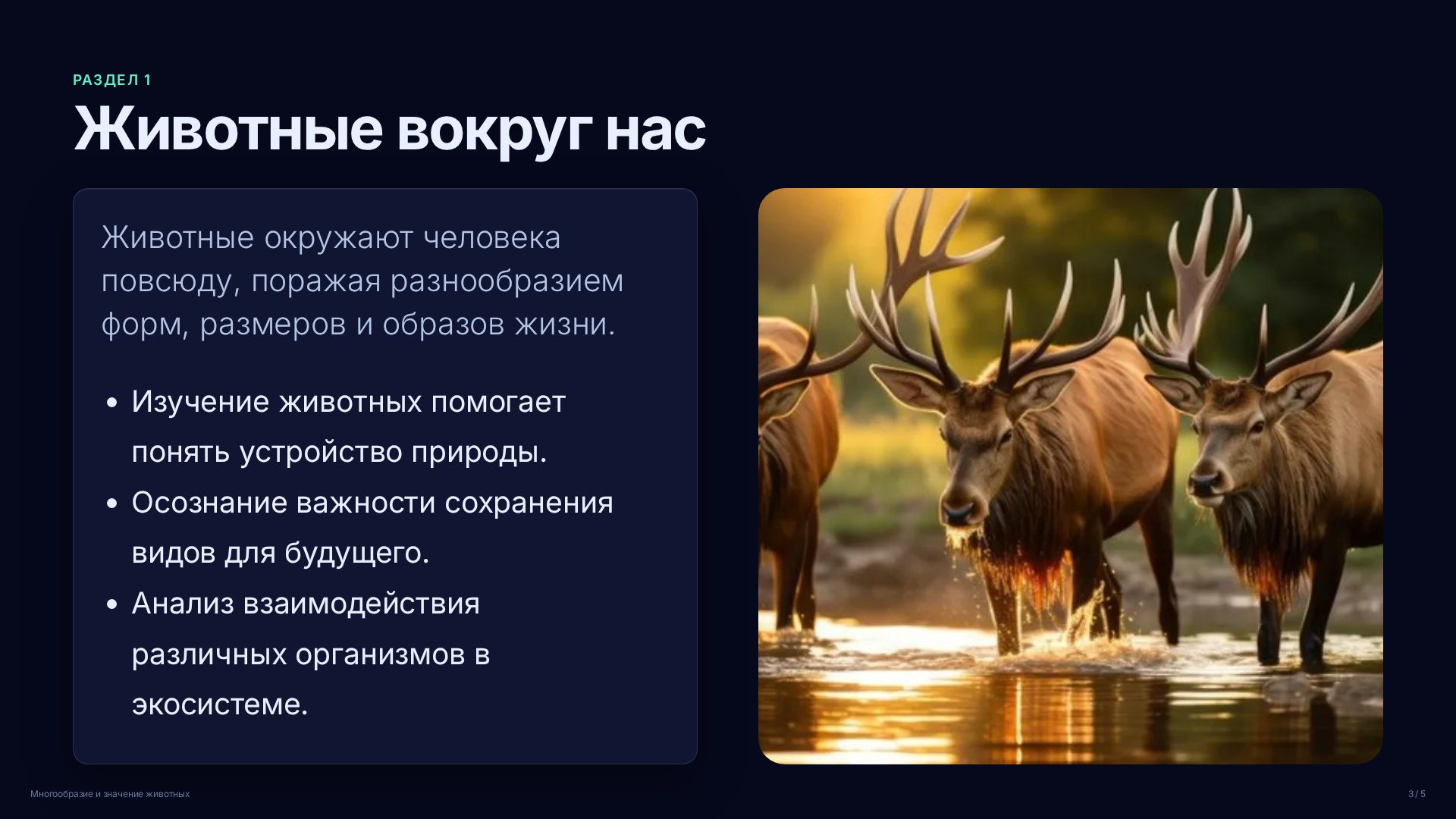 Слайд 3