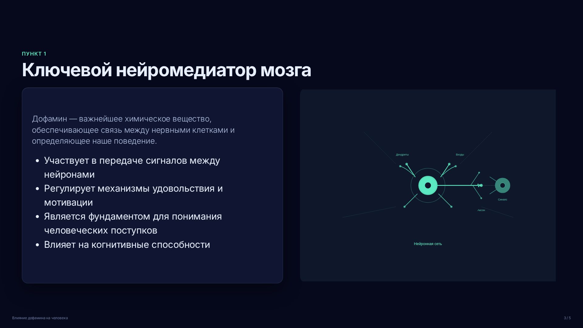 Слайд 3