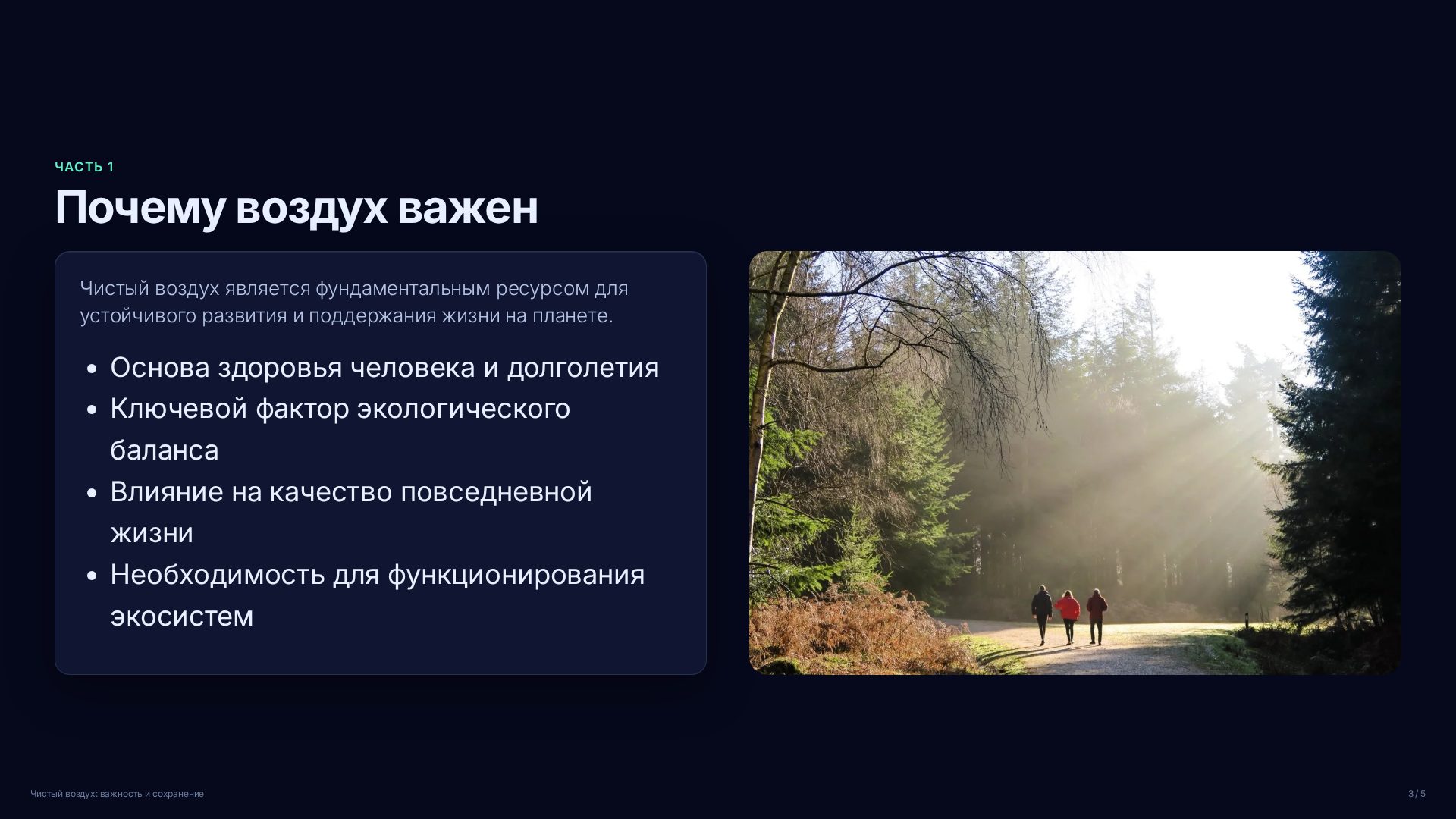 Слайд 3