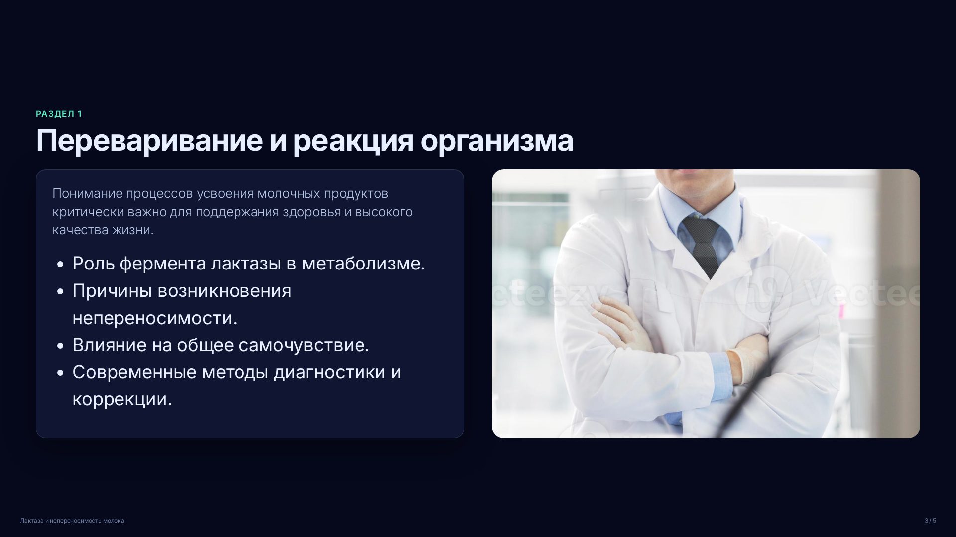 Слайд 3