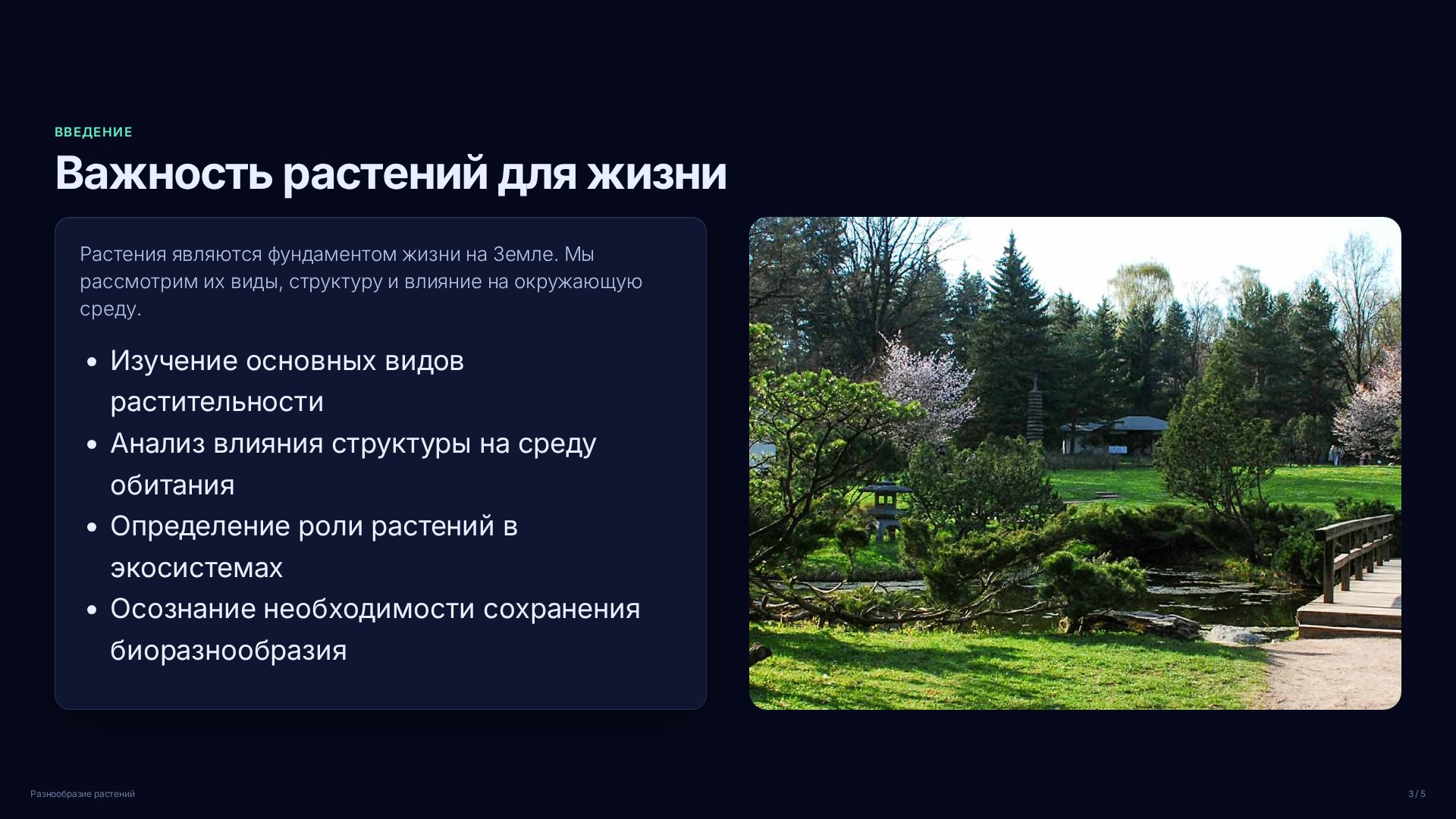 Слайд 3