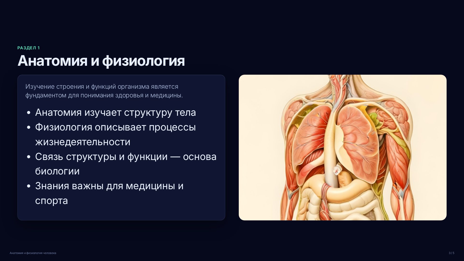 Слайд 3