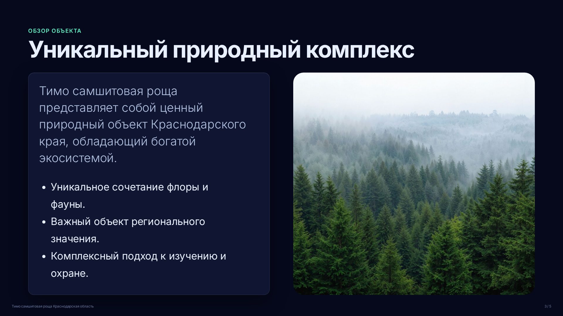 Слайд 3