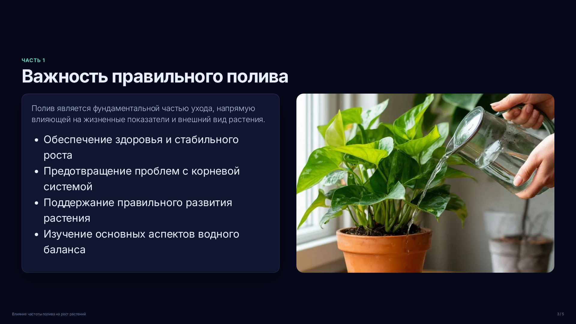 Слайд 3