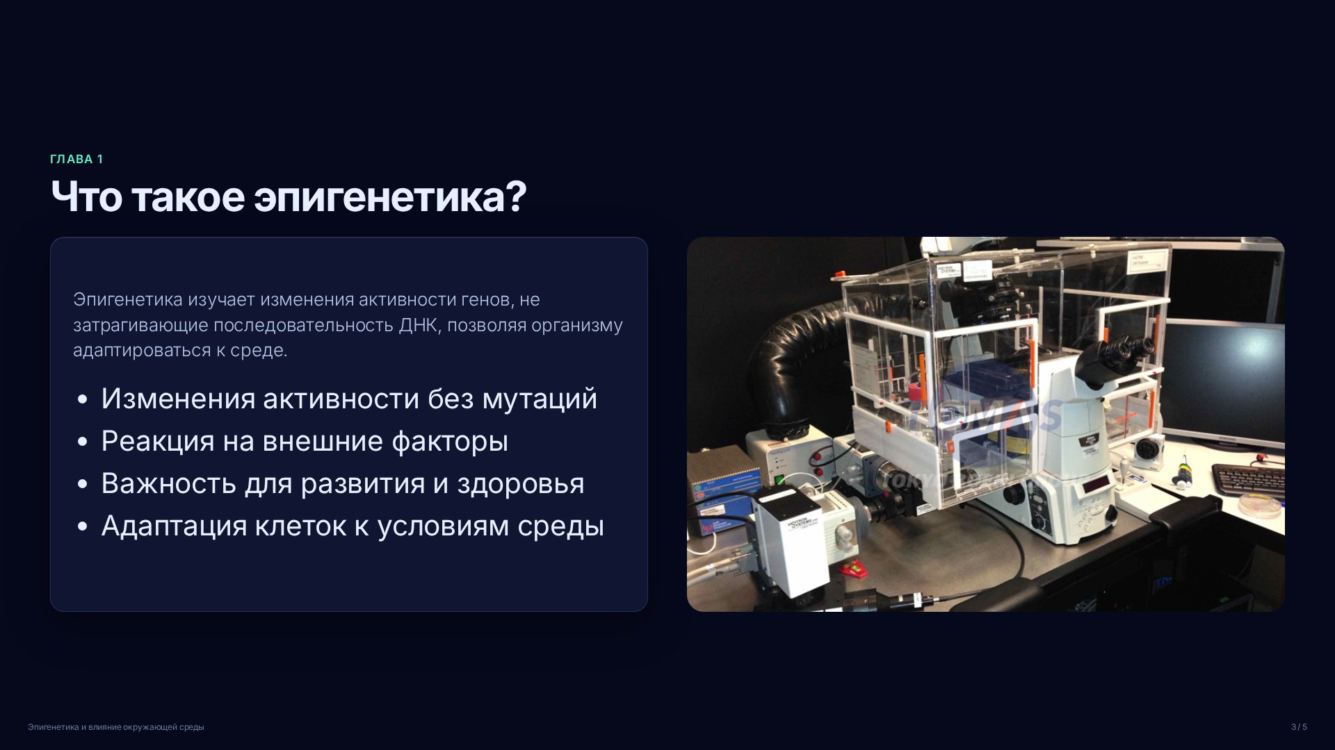 Слайд 3