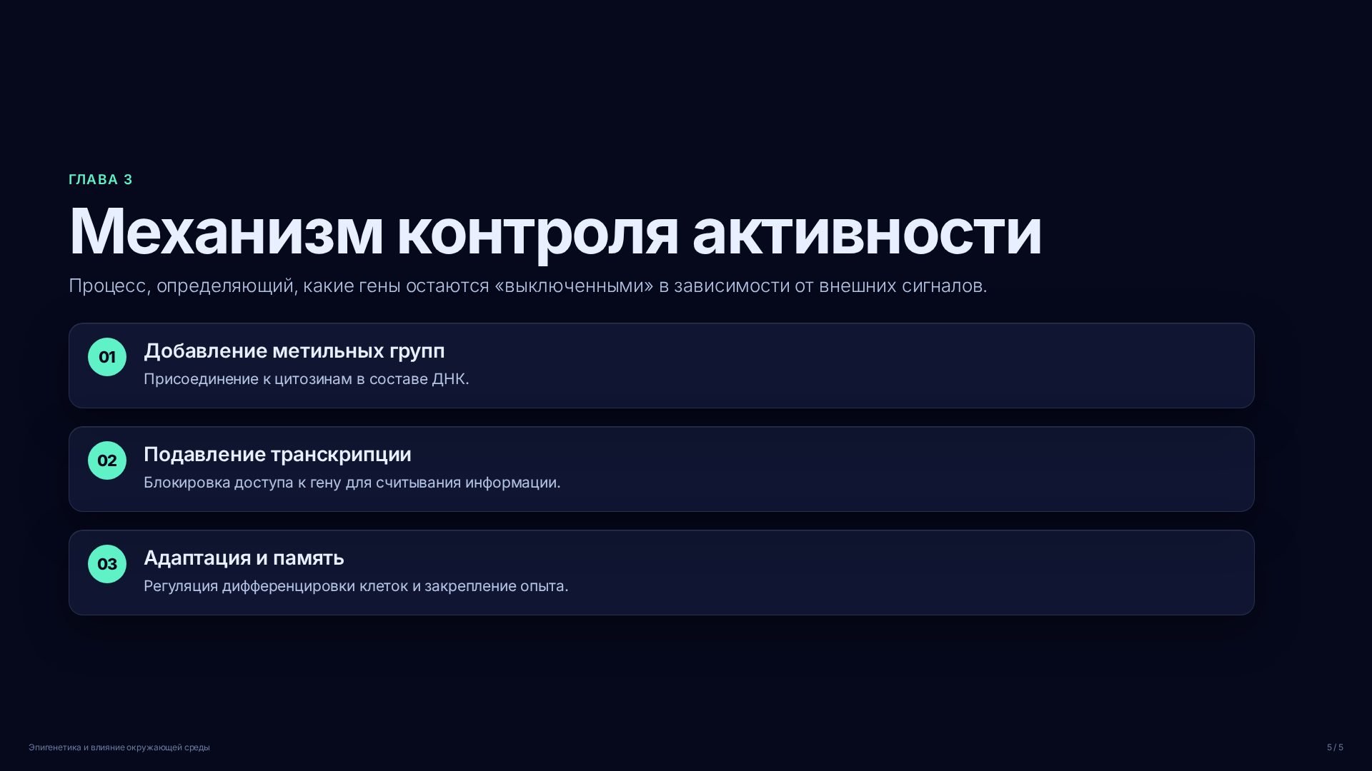 Слайд (заблокировано)