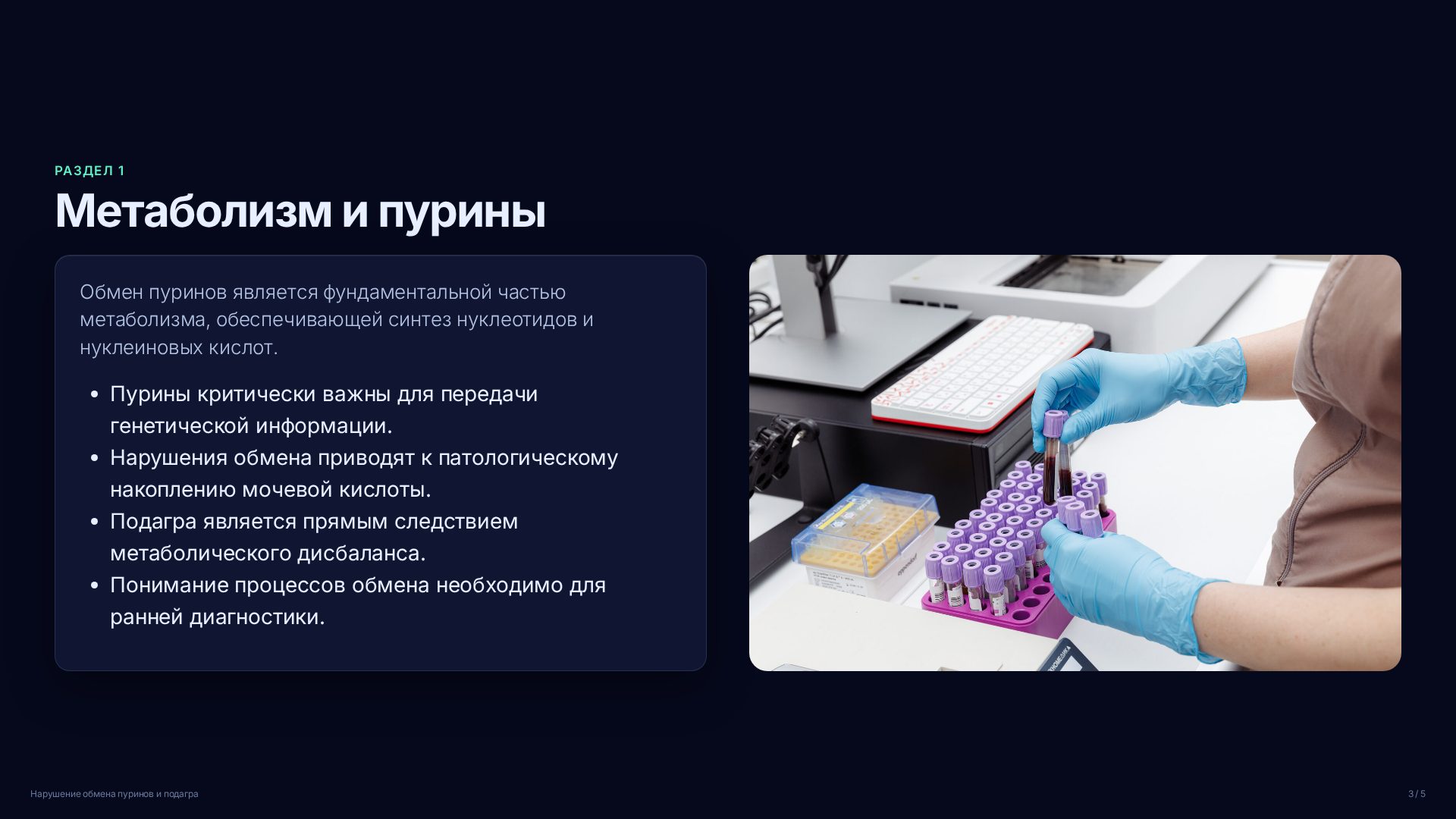 Слайд 3