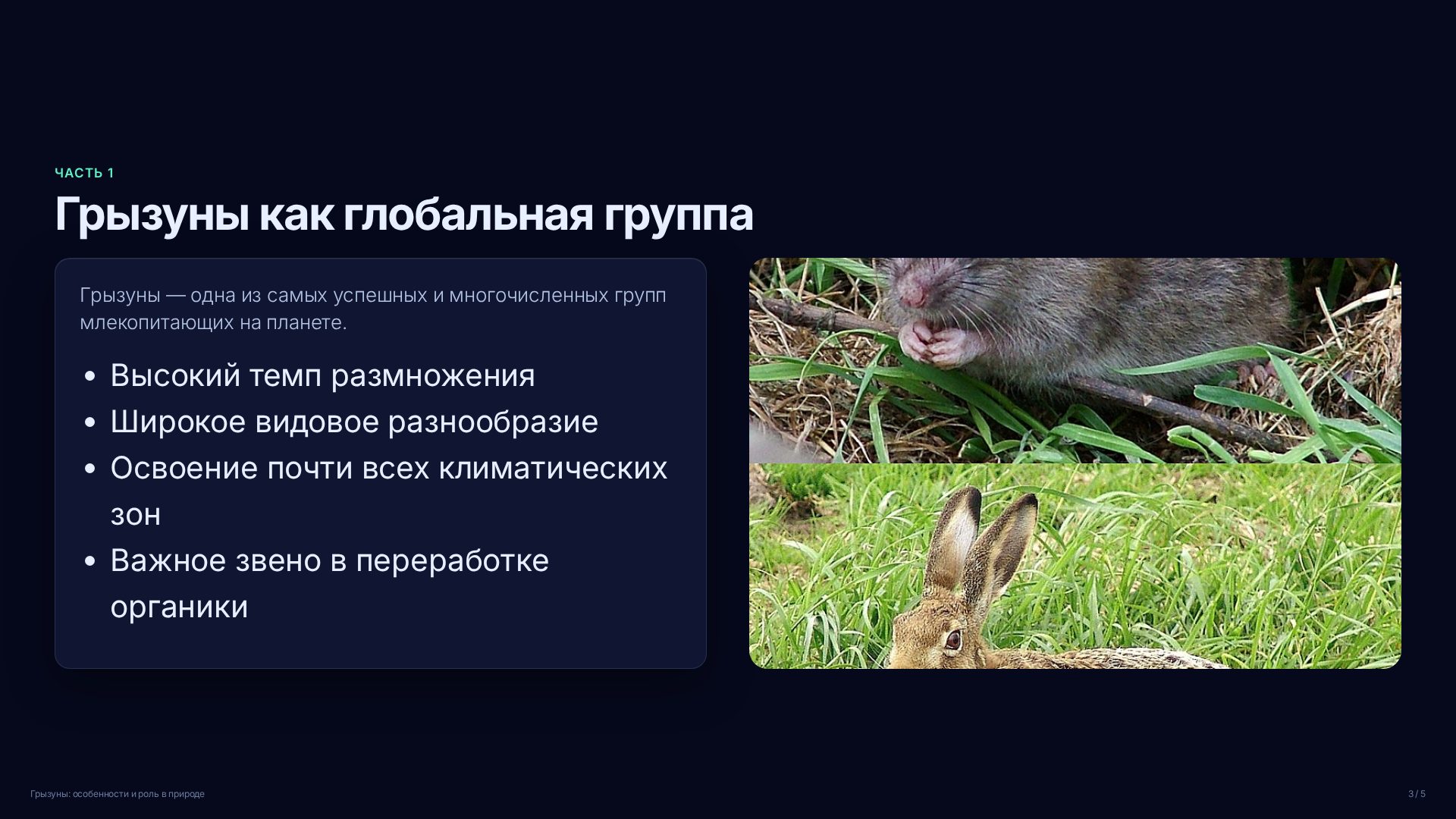 Слайд 3