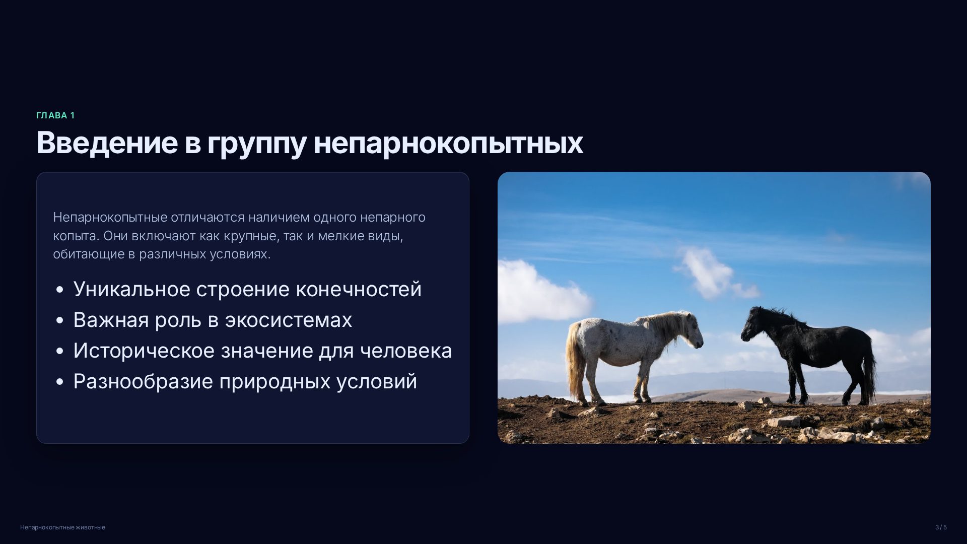 Слайд 3