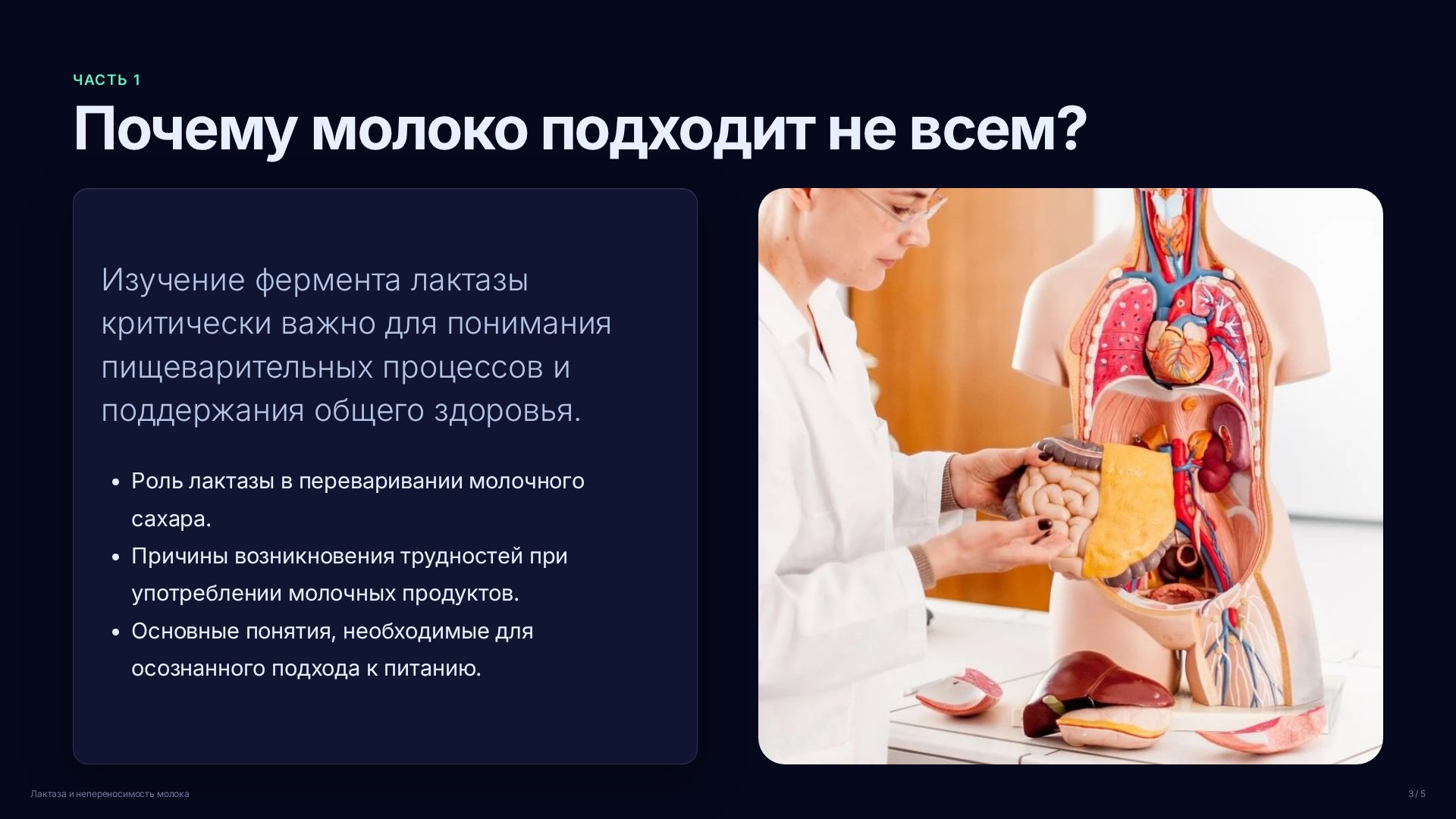 Слайд 3